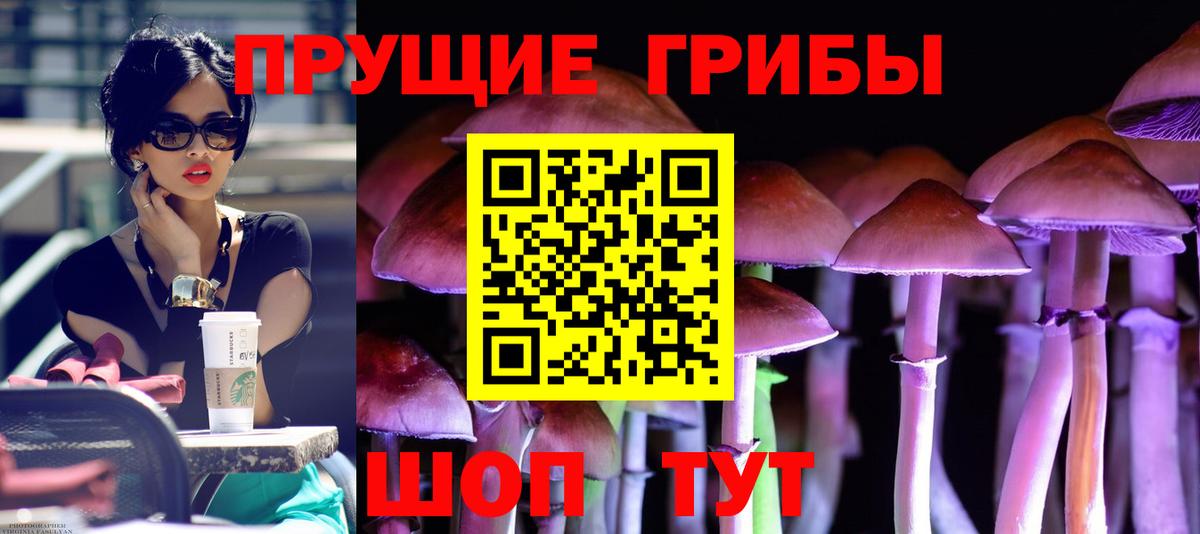 Псилоцибиновые грибы Magic Shrooms  Псилоцибиновые грибы мухоморы  где купить наркотик  Вход с VPN  Ливны 