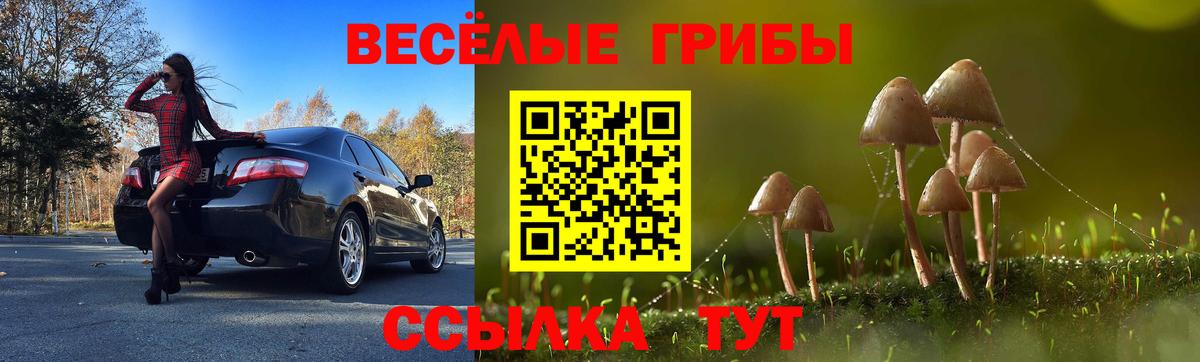 Псилоцибиновые грибы Cubensis Ливны